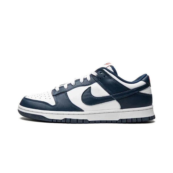 Nike Dunk low valerian blue